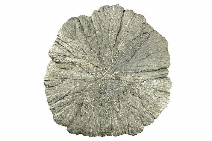 Radiant Pyrite Sun - Sparta, Illinois #342530